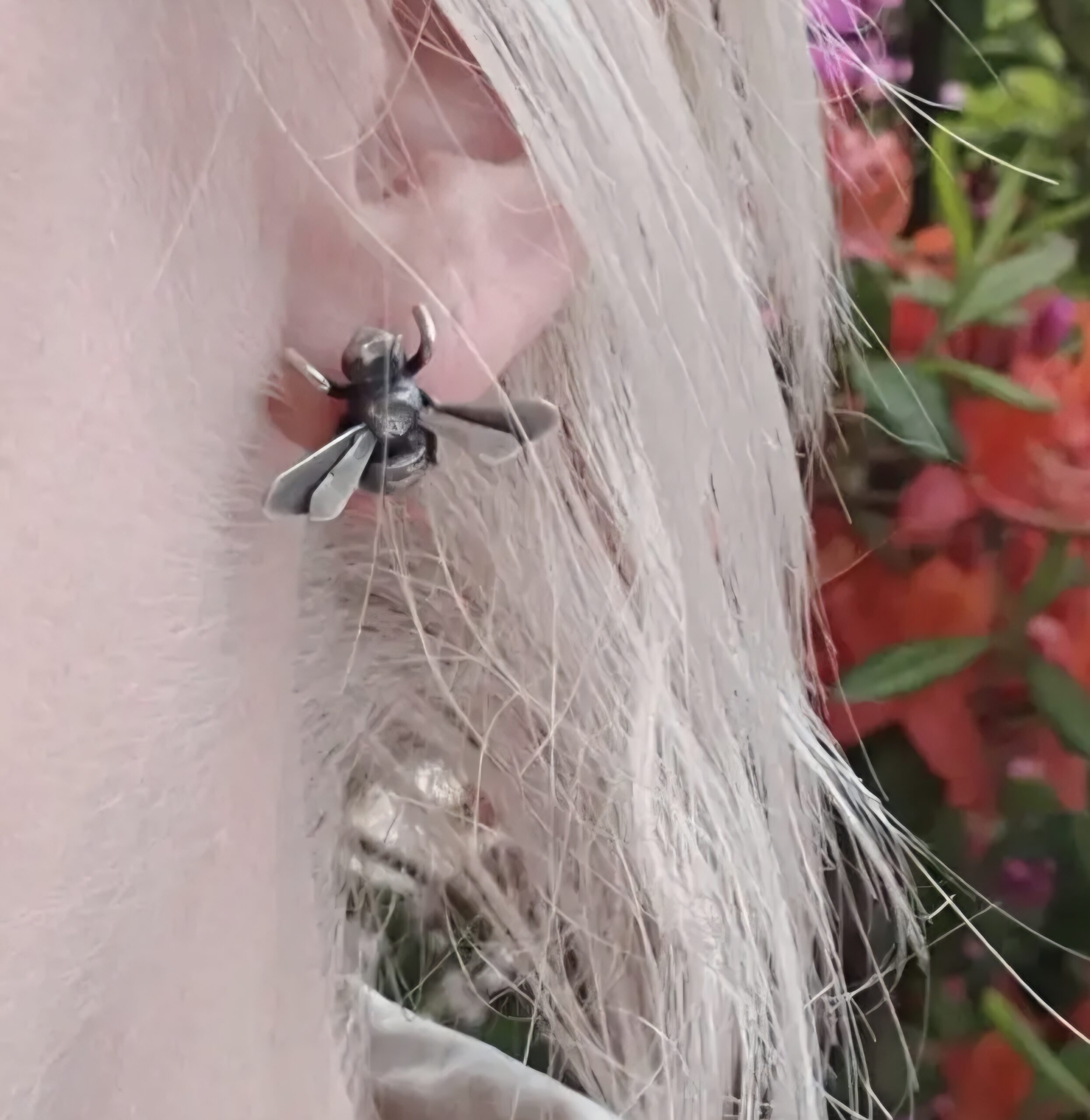 Silver-bi, örhänge